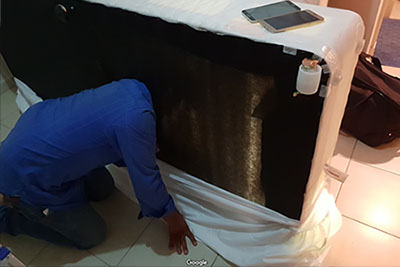 Dubai Bed Bug Inspection
